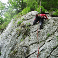 Foto 1 - Kletterpartner in wochentags vm od nm Halle