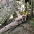 Kletterpartner / Klettergarten